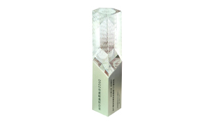  was listed on the list of "Specialized Special New Leading Goose Enterprises"